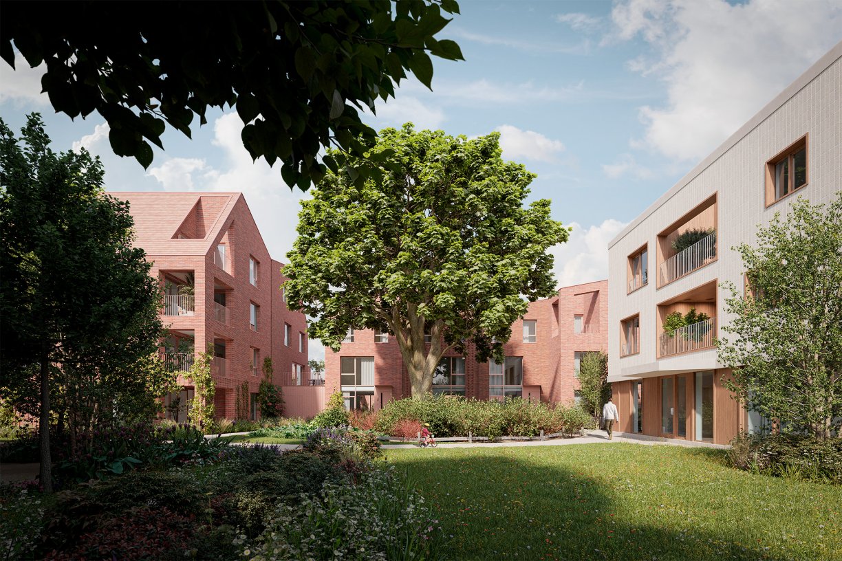 24047 CAM Cogiva Albertus CAM004 WEB